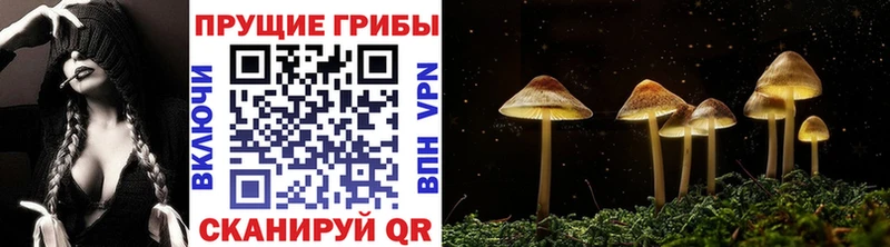 даркнет сайт  mega ТОР  Галлюциногенные грибы прущие грибы  Нефтекумск 